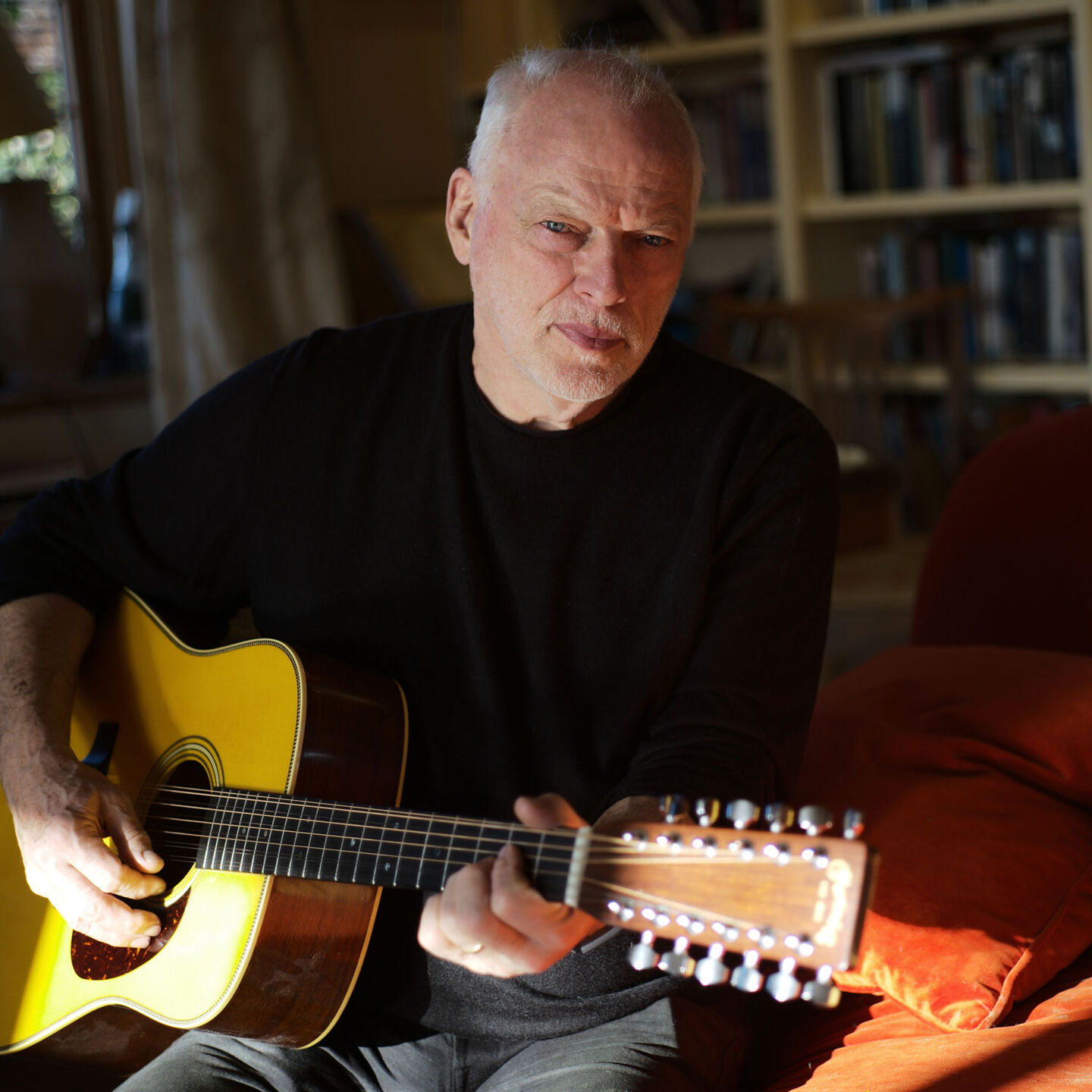 David Gilmour