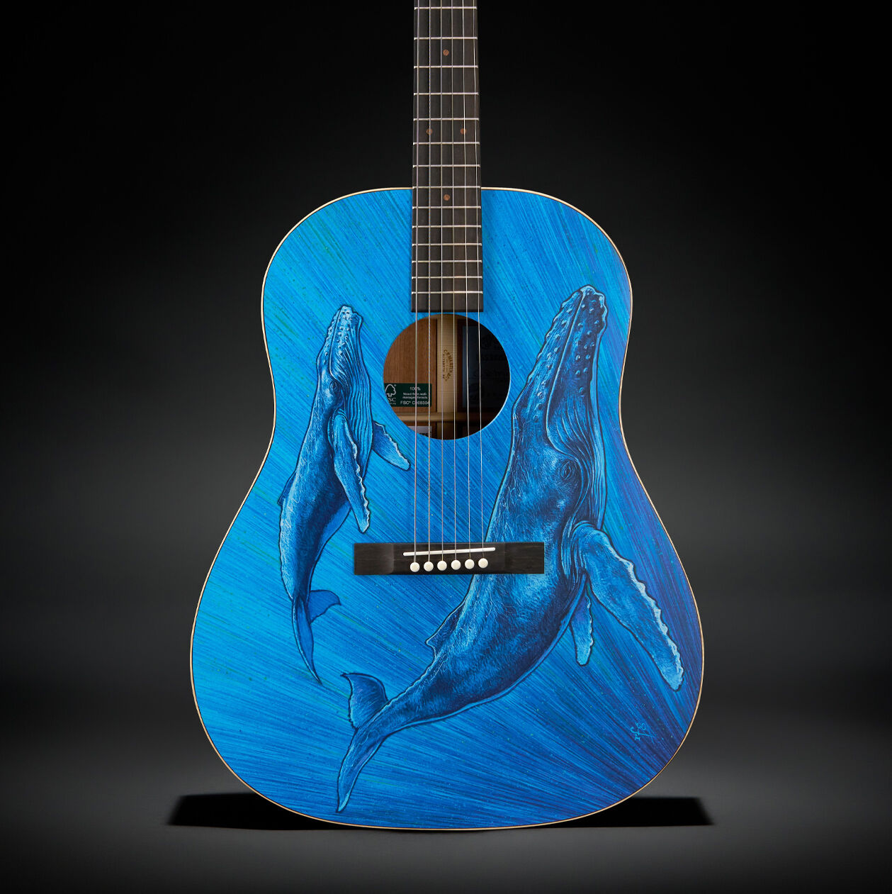 A photo of the DSS Biosphere guitar, a blue acoustic guitar with whales on it