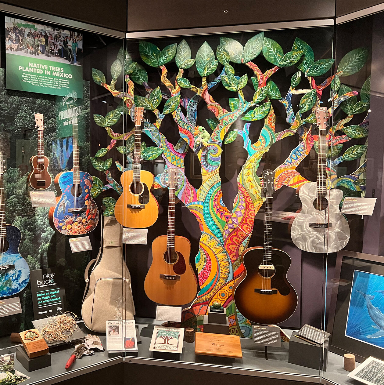 Photo of guitars in a display case