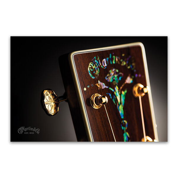 Abalone Headstock Poster image number 1