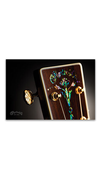 Abalone Headstock Poster