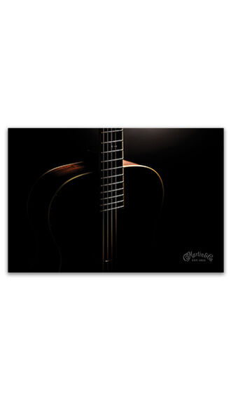 Custom Shop Silhouette Poster